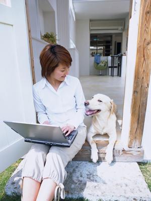 美味しいお米の通販購入ならトーベイで